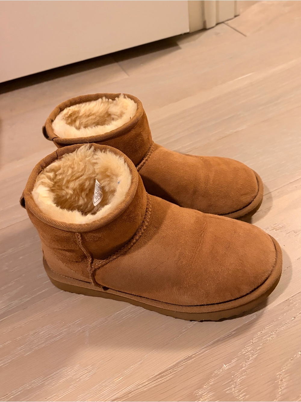 UGG Chestnut Boots